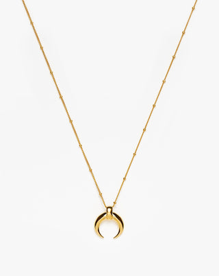 Lucy Williams Large Horn Pendant Necklace